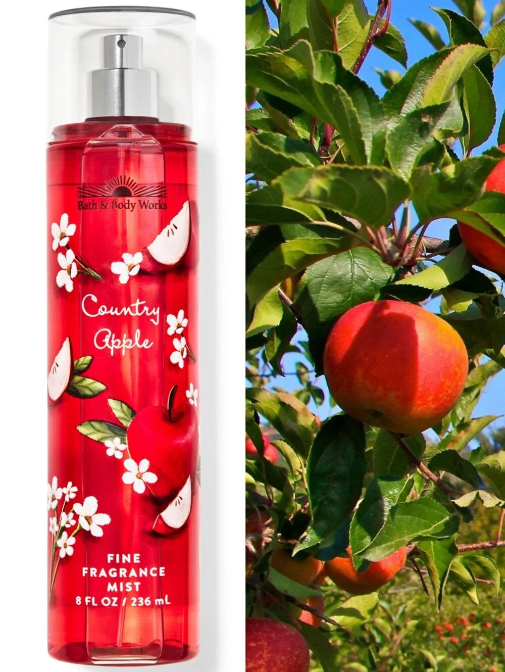 Bath & Body Works Country Apple Fine Fragrance Body Mist 8oz New Ultra RARE